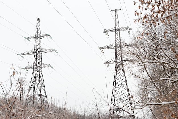 Pilar fios elétricos de alta tensão na floresta