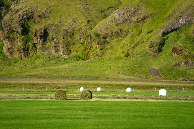 Pilas de hierba en campo verde con hermosas colinas verdes