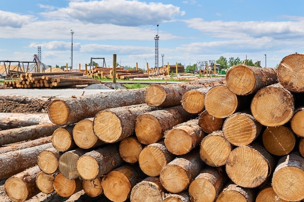 Pilas de troncos sin descortezar en un vasto depósito de madera