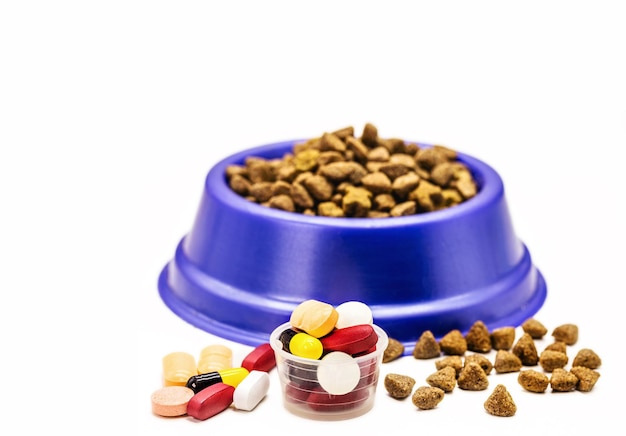 Píldoras veterinarias o suplementos de medicamentos o vitaminas para mascotas con comida para mascotas en el fondo con espacio de copia