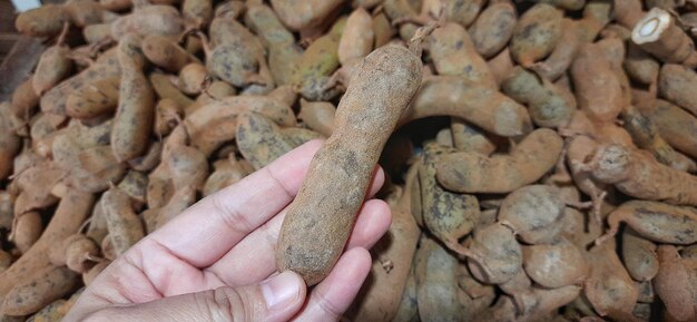 Pile de frutos tropicais de Tamarindo de fundo na Indonésia chamado Asam Jawa