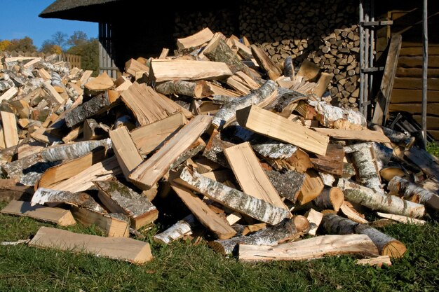 Pile e parede de madeira de bétula cortada e troncos de madeira empilhados prontos para o inverno em pé na grama