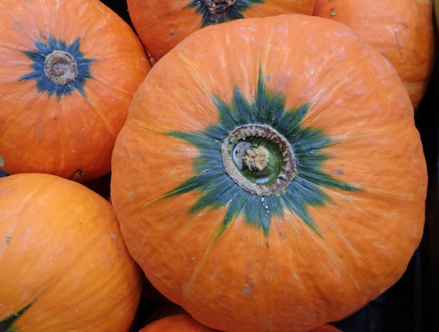 Pilha de abóboras maduras de cor laranja vibrante no mercado