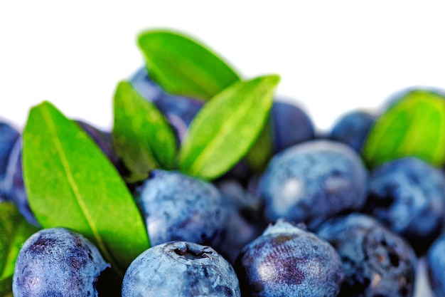 Pilha de blueberrys frescas isoladas em um fundo branco