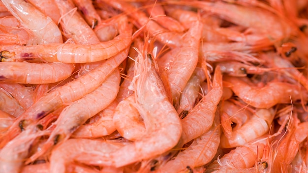 Foto pilha de camarão fresco no mercado