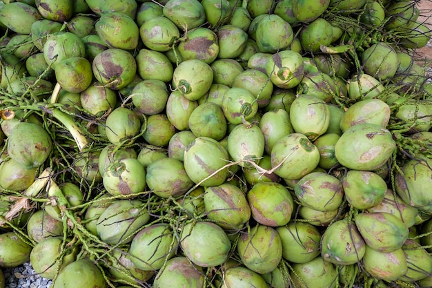 Pilha, de, coco, grupo, de, cocos, corte, de, coqueiro