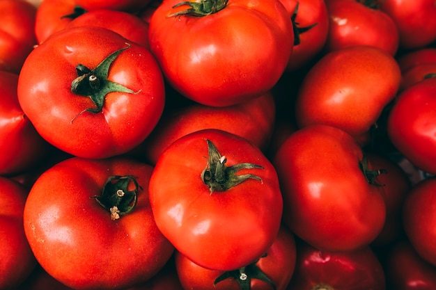 Foto pilha de deliciosos tomates