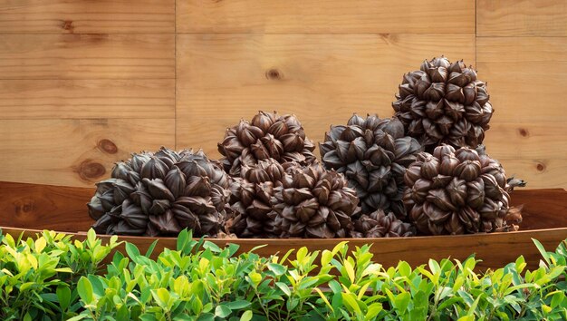 Pilha de frutas de palmeira Nipa para venda em barco de madeira com fundo de parede de madeira no mercado ao ar livre