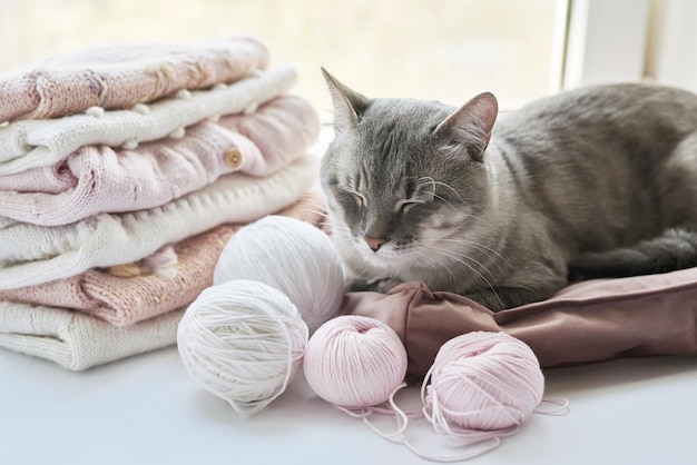 Pilha de gato de roupas de malha e bolas de fios agulhas de tricô acessórios para tricô roupas de bebê bordado hobby tricô trabalho manual