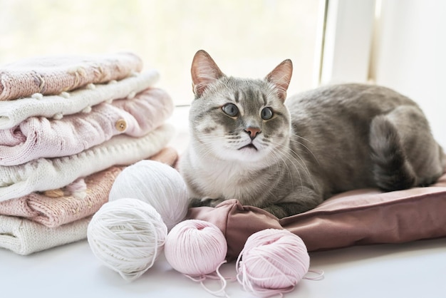 Pilha de gato de roupas de malha e bolas de fios agulhas de tricô acessórios para tricô Roupas de bebê Bordado hobby tricô trabalho manual