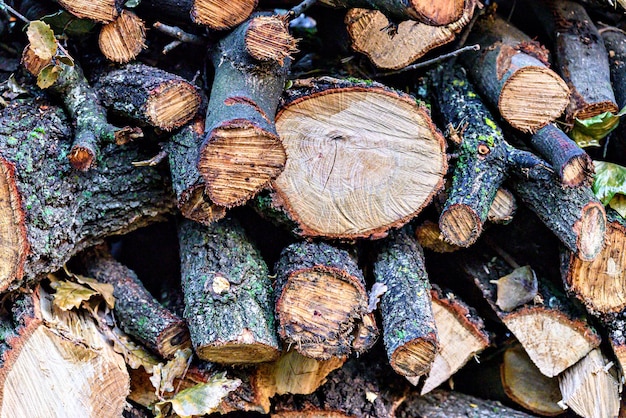 Pilha de lenha empilhada para o inverno. Pilha de troncos de madeira cortados e galhos.