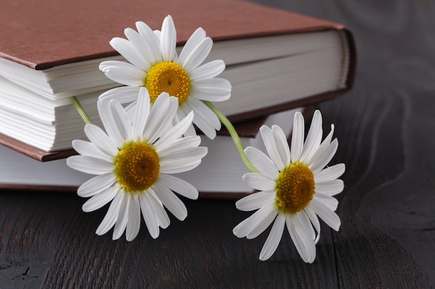 Pilha de livros com pequeno monte de margaridas