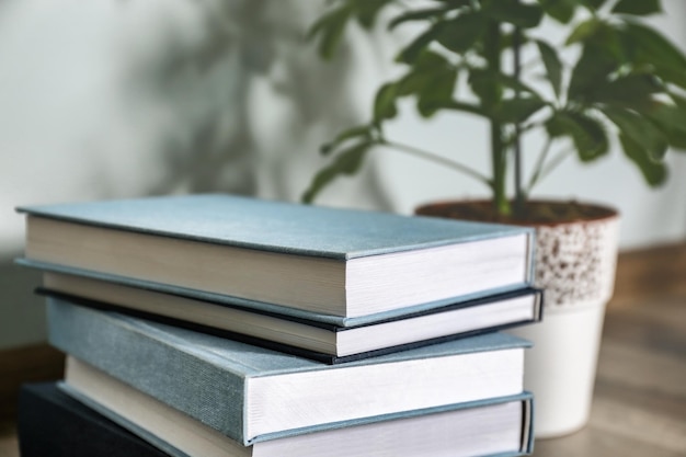 Pilha de livros e planta de casa no chão da sala