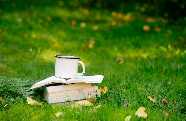 Pilha de livros e uma xícara de café na grama verde no outono