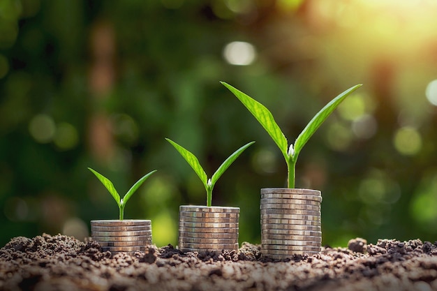 Pilha de moedas com planta de crescimento em passo e fundo de luz do sol. conceito de economia de dinheiro