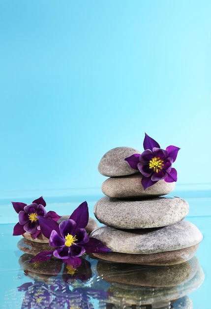 Pilha de pedras de spa com flores sobre fundo azul