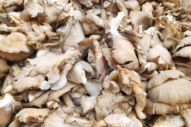 Pilha de Pleurotus na banca de um comerciante