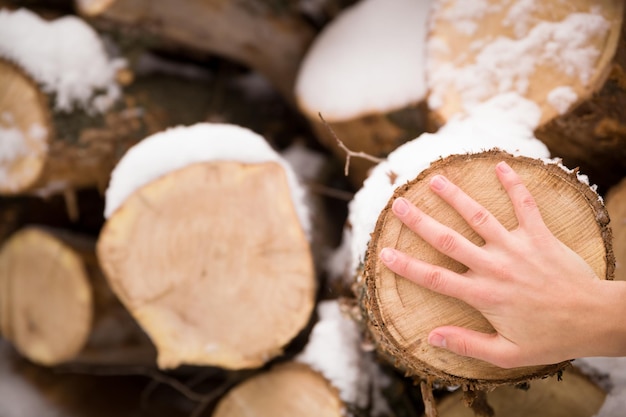 Pilha de tocos de árvore com neve e mão do homem