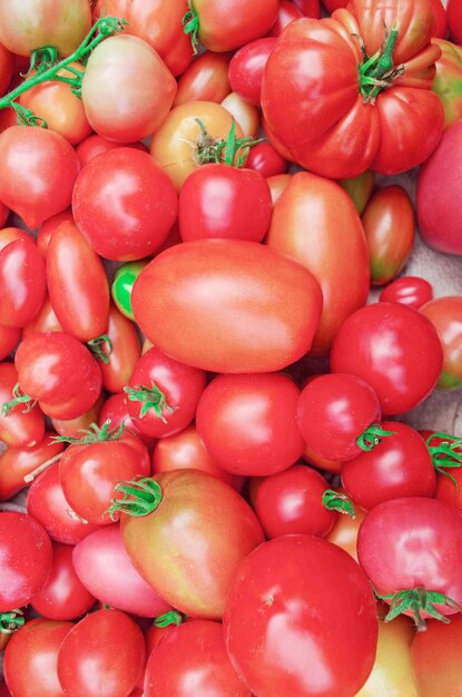 Pilha de tomate à venda no mercado de agricultores Tomates frescos e saborosos Fundo de tomates maduros Fundo de mistura de tomates