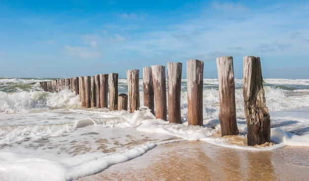 Pilhas de madeira com ondas do mar na praia