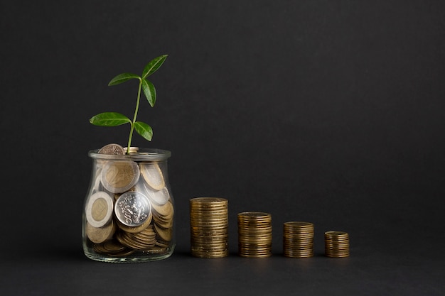 Foto pilhas de moedas perto de pote de moedas com planta