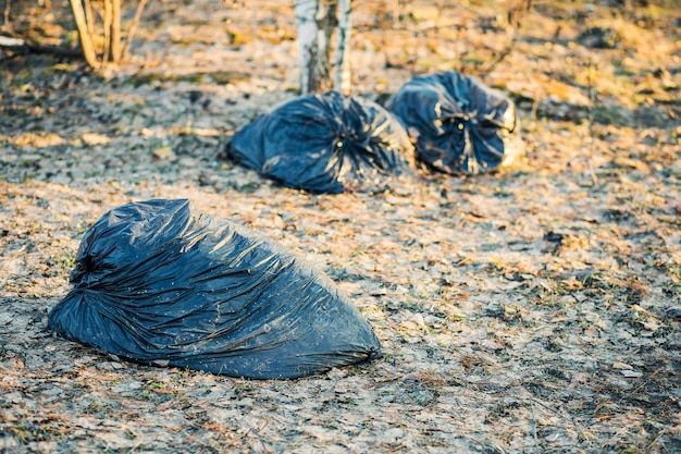 Pilhas de sacos de lixo jogados na floresta.