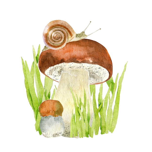 Pilz mit Schnecke in Kräutern