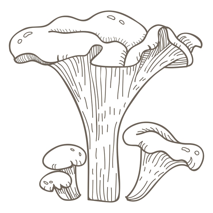 Foto pilz png durchsichtiger hintergrund aus gemüse