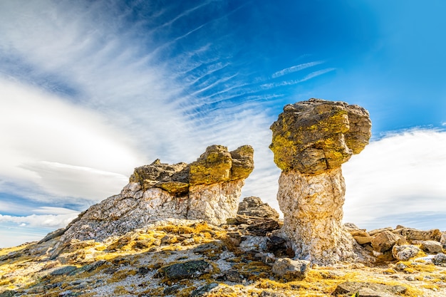 Pilz rockt im Rocky Mountain National Park, Colorado