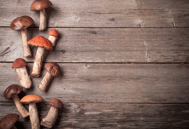 Foto pilzboletus über hölzernem hintergrund