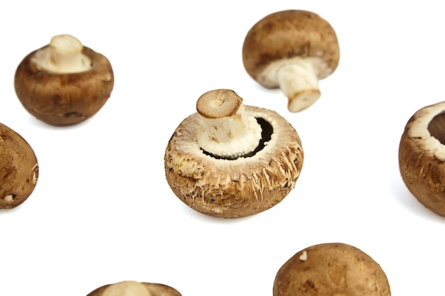 Pilze, frische braune Champignons lokalisiert auf weißem Hintergrund, selektiver Fokus. Ungekochte Lebensmittelzutat