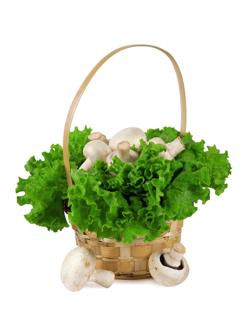 Pilze in einem Korb mit Salat