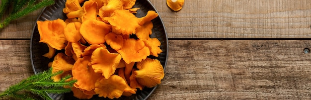 Pilze Pfifferlinge in einer eisernen Retro-Schüssel und Waldmoos auf einem hölzernen alten