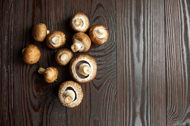 Pilzgruppe von frischen Champignons verstreut