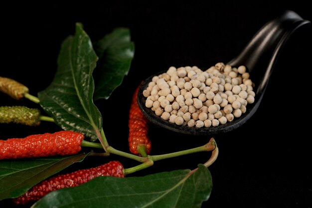 Foto pimenta branca na colher e com fundo preto, conceito industrial