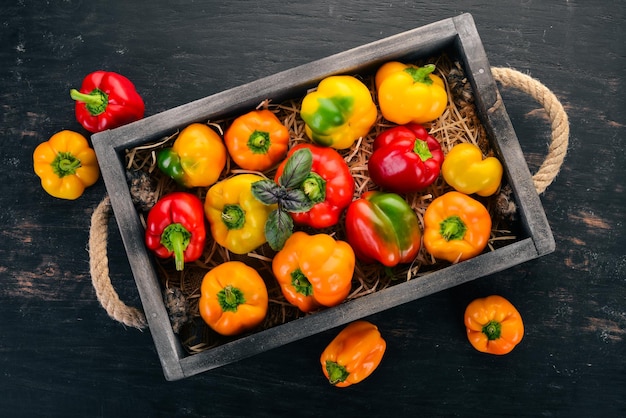 Pimenta colorida em uma caixa de madeira Vista superior Em um fundo preto Espaço livre para texto