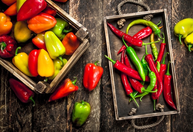 Pimenta doce e picante Em caixas. Sobre um fundo de madeira.