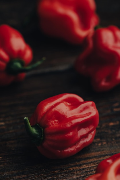 Pimenta Habanero Vermelha