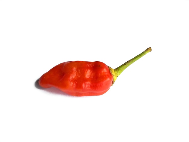 Pimenta isolada em um fundo branco pimenta vermelha quente