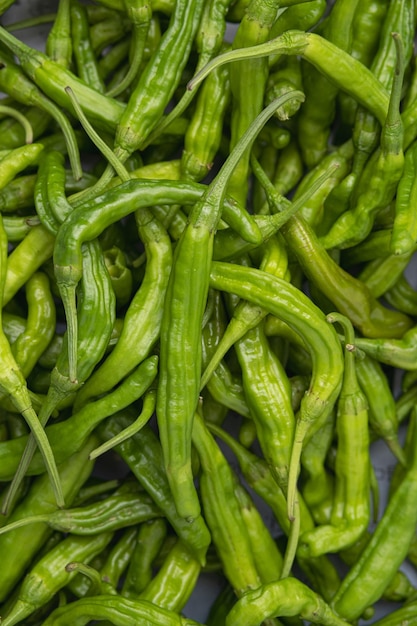 Pimenta Jwali