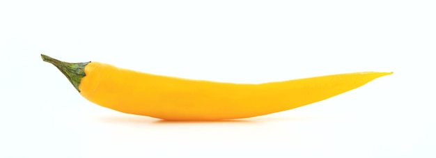 Pimenta longa amarela isolada contra o banner de fundo branco