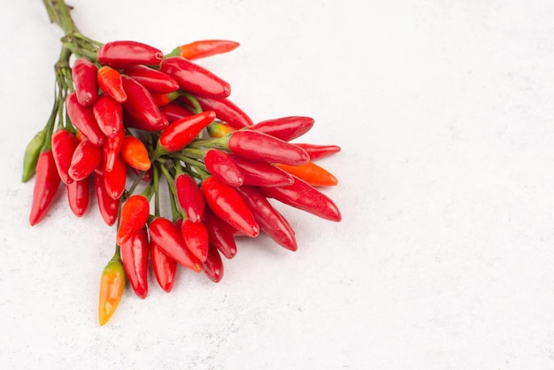 Pimenta malagueta vermelha em um fundo texturizado branco, ingredientes para comida picante, copie o espaço