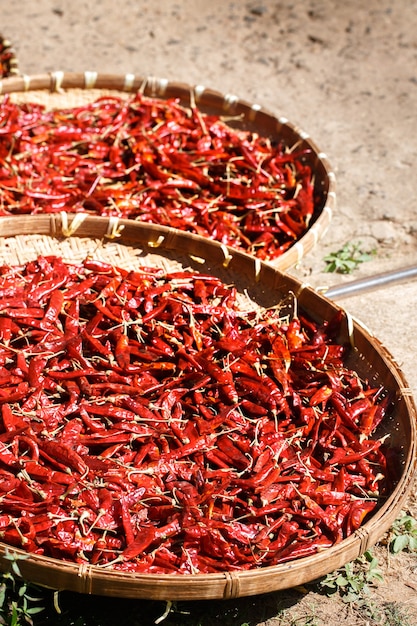 Pimenta vermelha é seca ao sol em grandes cestos de vime