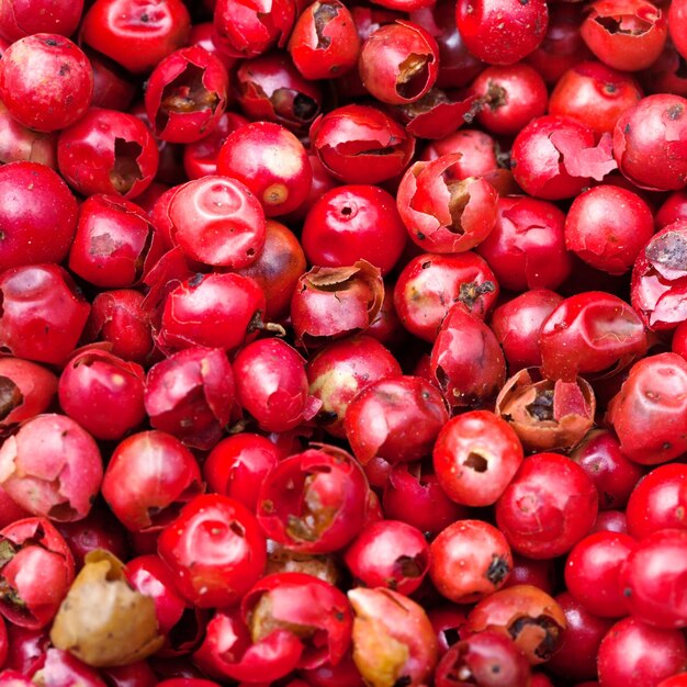 Foto pimenta vermelha em grãos