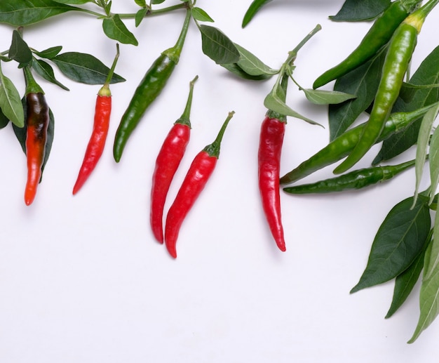 Pimentão vermelho e verde sobre fundo branco