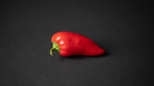 pimentão vermelho em um fundo preto escuro