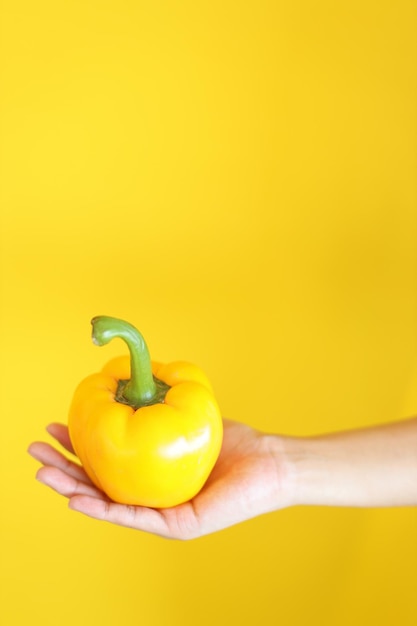 Pimentón amarillo fresco sosteniendo a mano sobre fondo amarillo Verduras para alimentos saludables