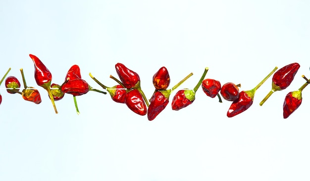 Foto pimentos capsicum vermelhos secos e picantes sobre um fundo branco