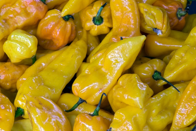 Pimienta Bhut Jolokia