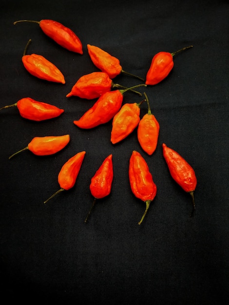 Foto pimienta fantasma fresca o bhut jolokia aislado en fondo negro o carolina reaper aislado